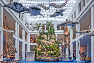 Der blaue Kontinent Lichthof mit Insel und schwebenden Fischen c Uebersee Museum  - © Überseemuseum